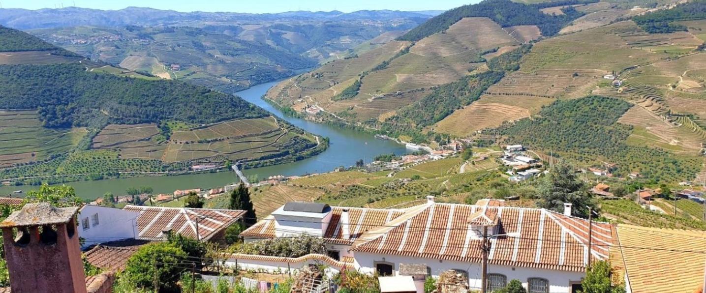 Riba Loivos Village - Casa C - T3 Casal de Loivos Dış mekan fotoğraf